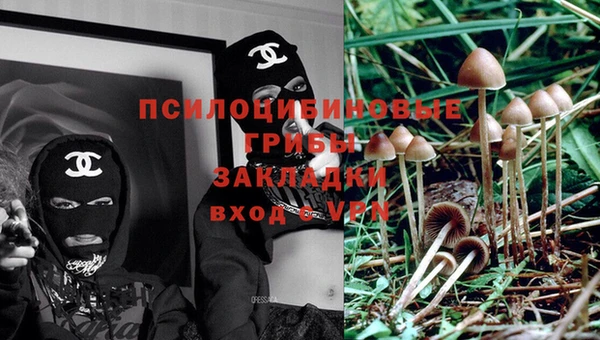 спайс Медногорск