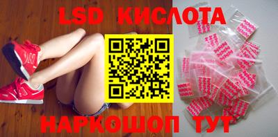 гашик Кандалакша