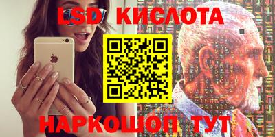гашик Кандалакша