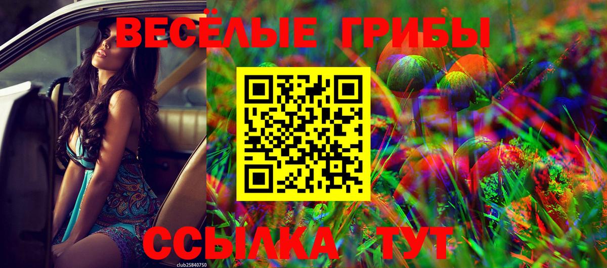 Галлюциногенные грибы Magic Shrooms Луга